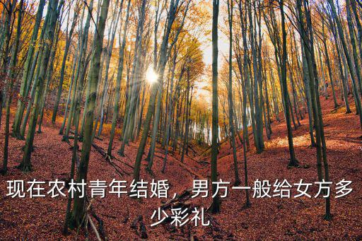 南陽彩禮一般給多少,男方一般給女方多少彩禮