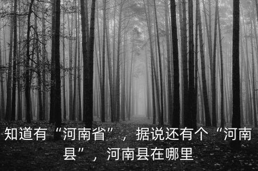知道有“河南省”，據(jù)說還有個“河南縣”，河南縣在哪里