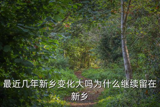 最近幾年新鄉變化大嗎為什么繼續留在新鄉
