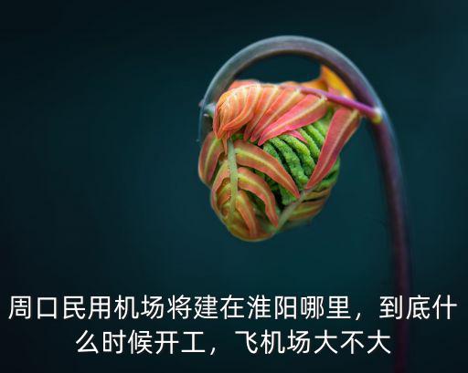 周口大用在哪里,周口民用機場將建在淮陽哪里