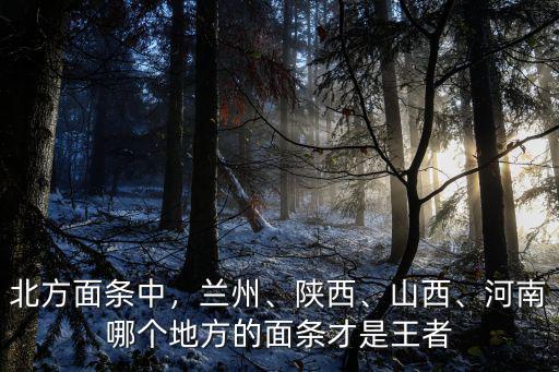 北方面條中，蘭州、陜西、山西、河南哪個地方的面條才是王者