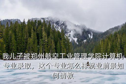 我兒子被鄭州航空工業管理學院計算機專業錄取，這個專業怎么樣就業前景如何請教