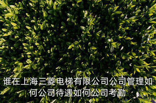 誰在上海三菱電梯有限公司公司管理如何公司待遇如何公司考勤