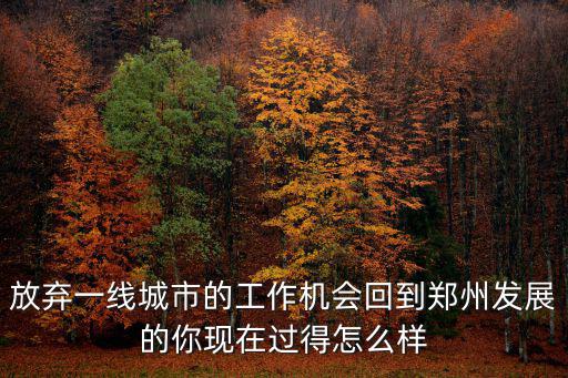 放棄一線城市的工作機會回到鄭州發展的你現在過得怎么樣
