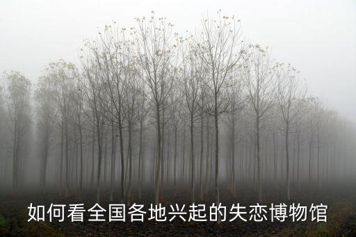 商丘失戀博物館怎么收費,投資失戀博物館