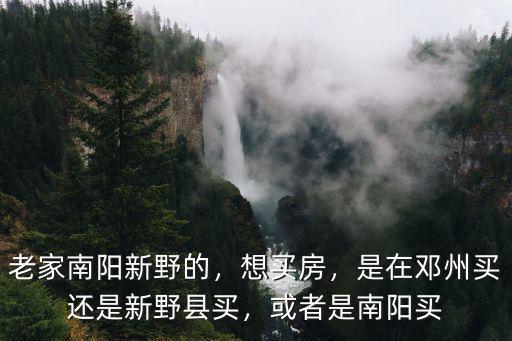 老家南陽新野的，想買房，是在鄧州買還是新野縣買，或者是南陽買