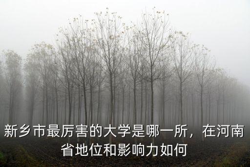 新鄉市最厲害的大學是哪一所，在河南省地位和影響力如何