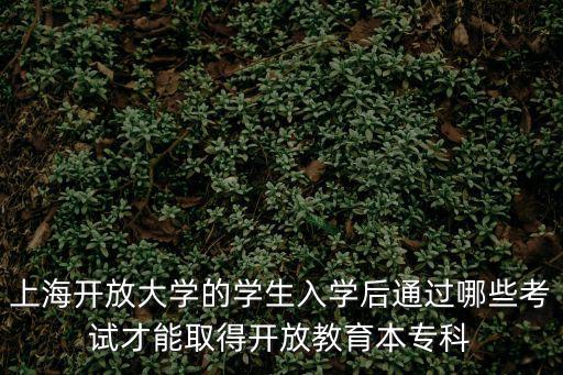 上海開放大學，上海開放大學屬于積分辦理的成人高等教育嗎