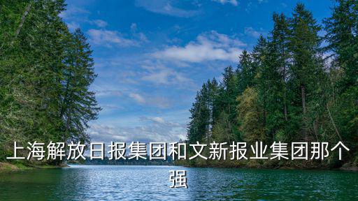 上海解放日報集團和文新報業集團那個強