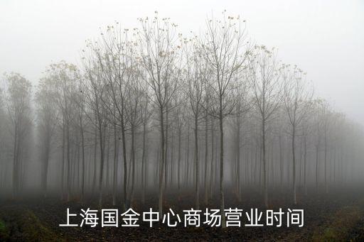 上海國金中心，世紀大道8號上海國金中心匯豐銀行21樓什么公司