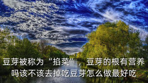 豆芽被稱為“掐菜”，豆芽的根有營養嗎該不該去掉吃豆芽怎么做最好吃