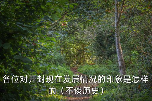 各位對開封現在發展情況的印象是怎樣的（不談歷史）
