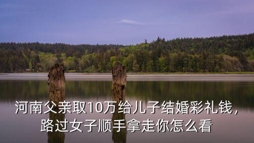 河南父親取10萬給兒子結婚彩禮錢，路過女子順手拿走你怎么看