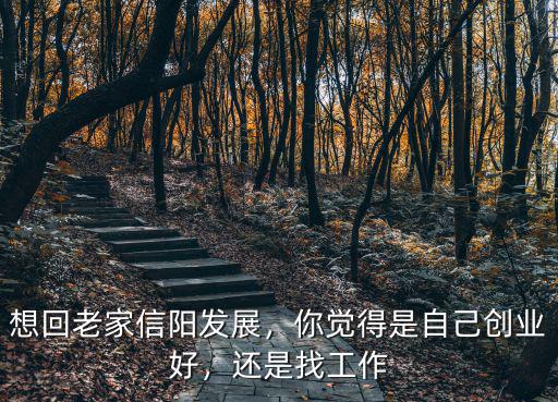 想回老家信陽發展，你覺得是自己創業好，還是找工作
