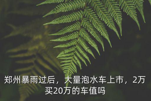 鄭州哪里泡水車多,暴雨過后鄭州很多泡水車
