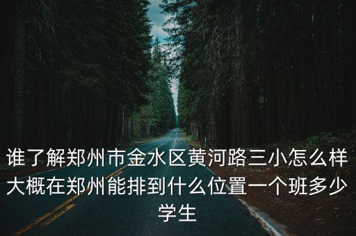誰了解鄭州市金水區黃河路三小怎么樣大概在鄭州能排到什么位置一個班多少學生
