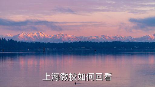 上海微校如何回看
