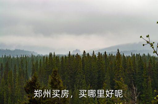 鄭州買(mǎi)房，買(mǎi)哪里好呢