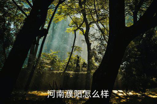 河南濮陽怎么樣