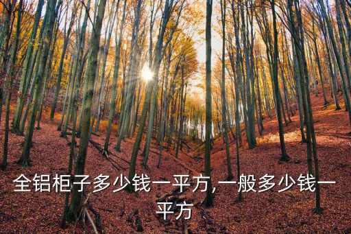 開封全鋁柜子多少錢一平方,一般多少錢一平方