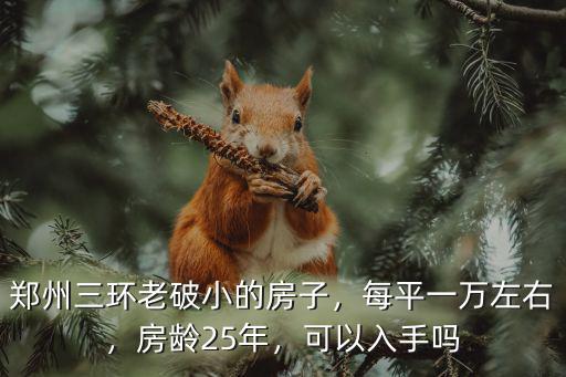 鄭州三環老破小的房子，每平一萬左右，房齡25年，可以入手嗎