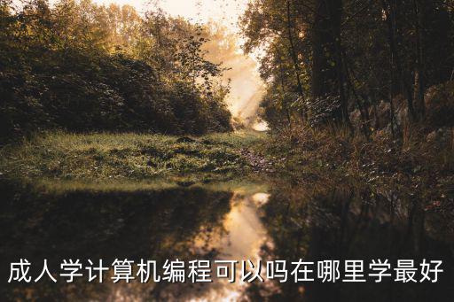 成人學(xué)計(jì)算機(jī)編程可以嗎在哪里學(xué)最好