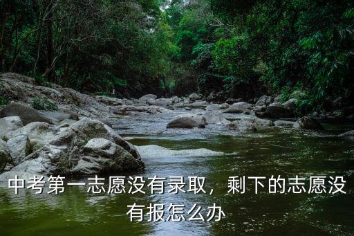 中考第一志愿沒有錄取，剩下的志愿沒有報怎么辦