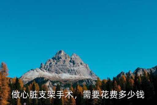 三門峽做一個心臟支架多少錢,一個心臟支架多少錢