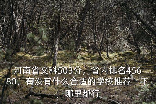 河南省文科503分，省內排名45680，有沒有什么合適的學校推薦一下，哪里都行