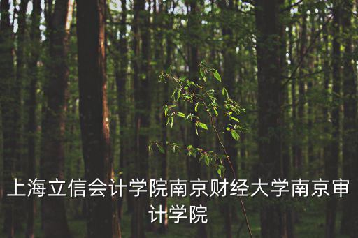 上海立信會計學院南京財經大學南京審計學院