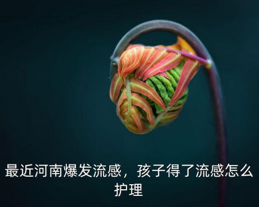 最近河南爆發流感，孩子得了流感怎么護理