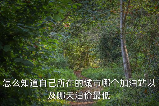 怎么知道自己所在的城市哪個加油站以及哪天油價最低