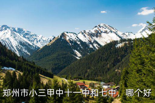 鄭州市小三甲中十一中和七中，哪個好