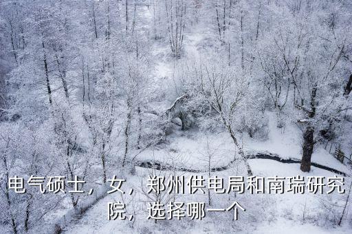 電氣碩士，女，鄭州供電局和南瑞研究院，選擇哪一個