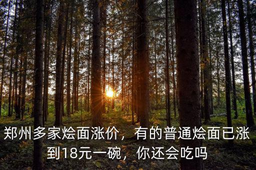 鄭州肖家燴面多少錢一碗,一碗燴面88元