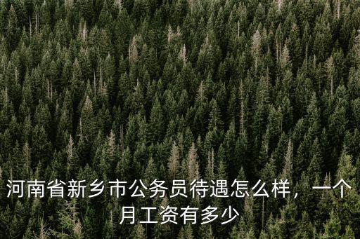 河南省新鄉市公務員待遇怎么樣，一個月工資有多少