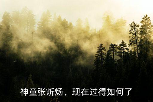 河南神童何雪豪現在怎么樣了,現在過得如何了