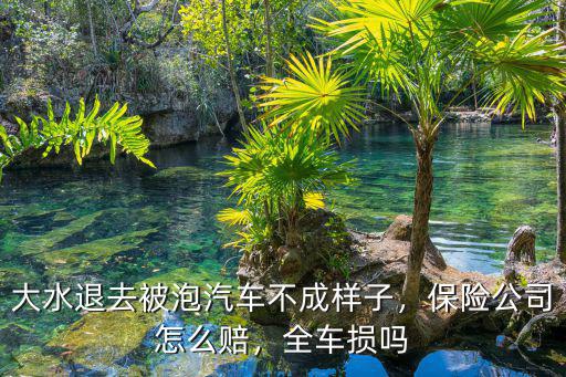 大水退去被泡汽車不成樣子，保險公司怎么賠，全車損嗎
