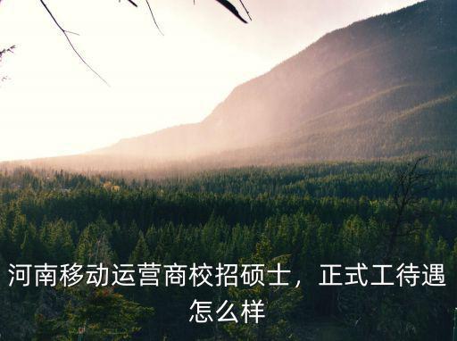 河南電信和移動工資待遇怎么樣,中國移動工資待遇怎么樣