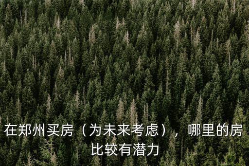 在鄭州買房（為未來考慮），哪里的房比較有潛力