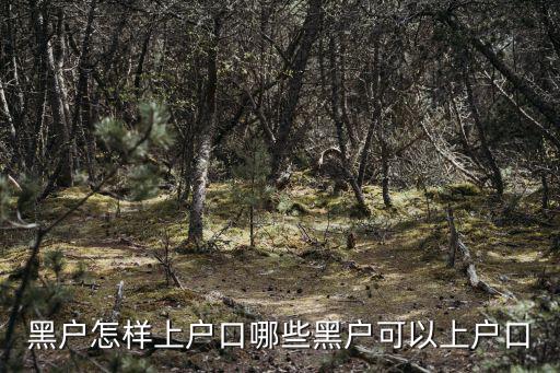 鄭州黑戶怎么上戶口,黑戶怎樣上戶口