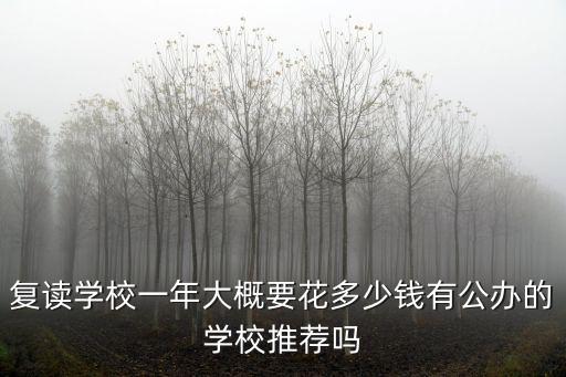 復讀學校一年大概要花多少錢有公辦的學校推薦嗎