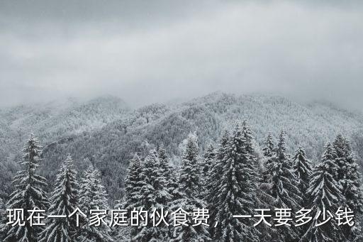 現在一個家庭的伙食費，一天要多少錢