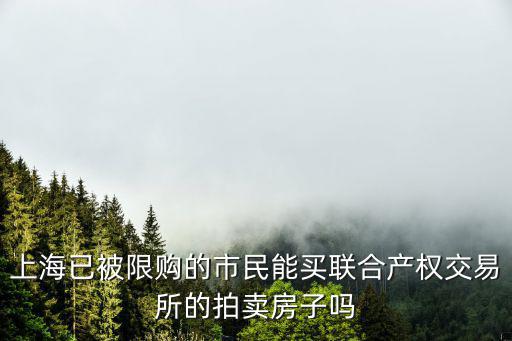 上海已被限購的市民能買聯合產權交易所的拍賣房子嗎