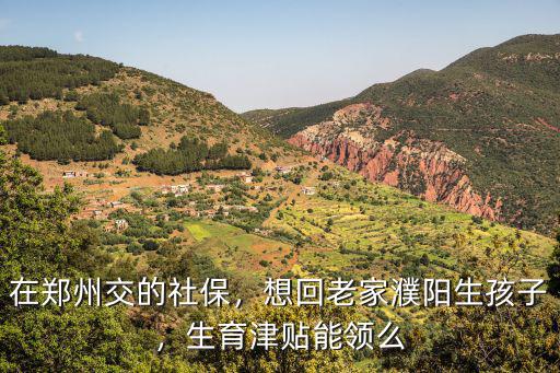 在鄭州交的社保，想回老家濮陽生孩子，生育津貼能領么