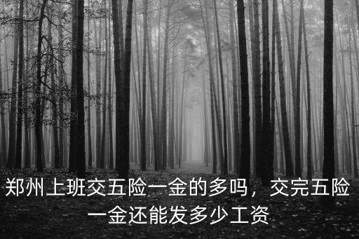 鄭州上班交五險一金的多嗎，交完五險一金還能發多少工資