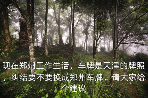 現(xiàn)在鄭州工作生活，車牌是天津的牌照，糾結(jié)要不要換成鄭州車牌，請大家給個建議