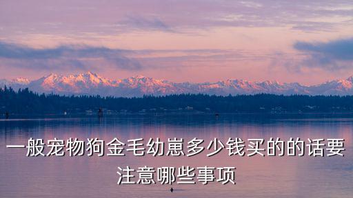 一般寵物狗金毛幼崽多少錢買的的話要注意哪些事項