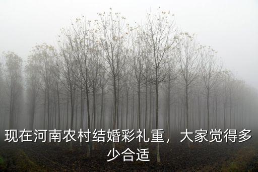 現(xiàn)在河南農(nóng)村結(jié)婚彩禮重，大家覺得多少合適