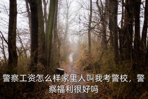 警察工資怎么樣家里人叫我考警校，警察福利很好嗎